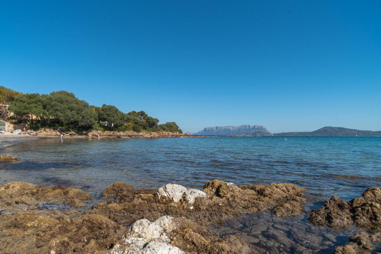 Sole Mare